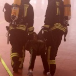 9742233_w700h500v7906_FeuerwehrJHUE47.jpg